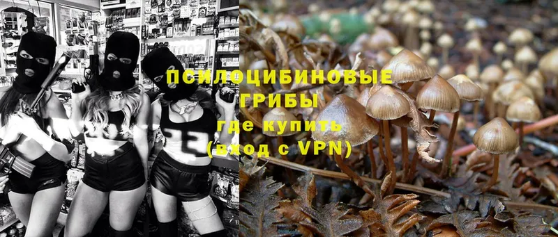 Псилоцибиновые грибы Magic Shrooms  продажа наркотиков  Нариманов 